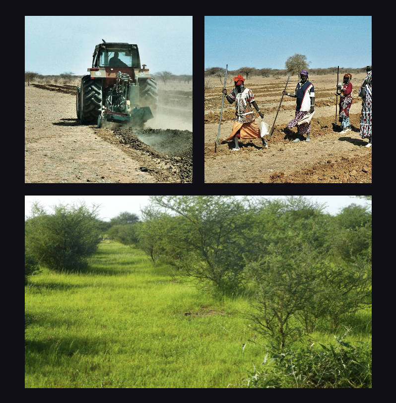 reverdir_le_sahara_accueil